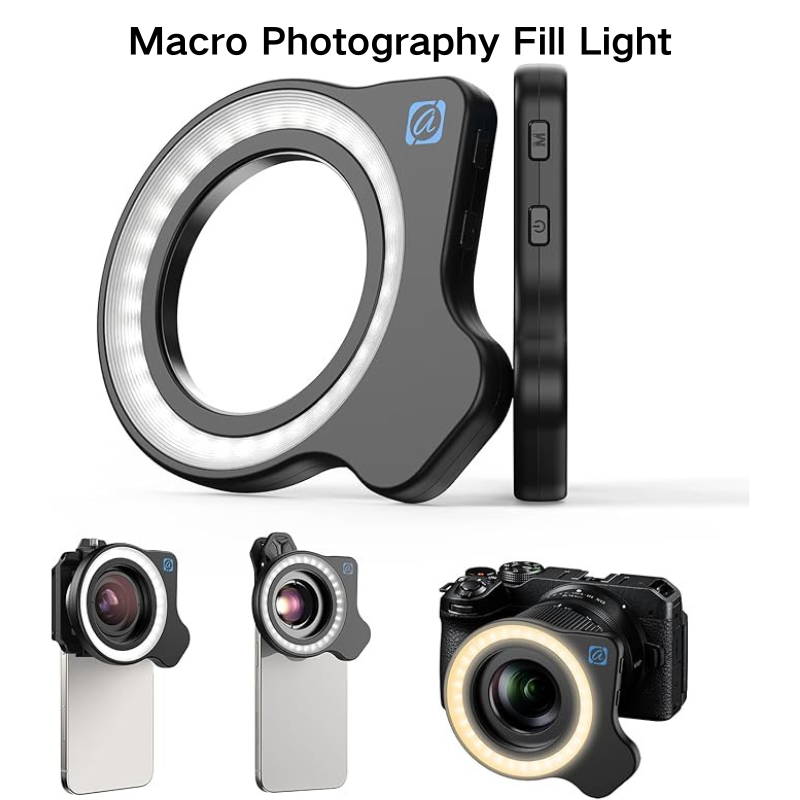 Photography Lighting Design - Makro Fotoğrafçılığı Dolgu Işığı: Şeffaf detayları