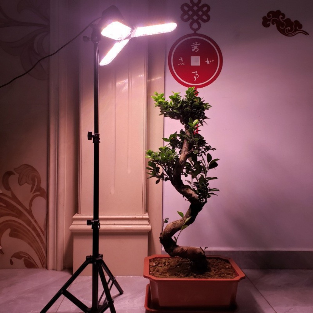 Ampul Standı 2M, Şemsiye Lamba - Photography Lighting With Umbrella incelemesi ve fiyatı